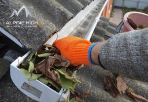 gutter cleaning and cleanout